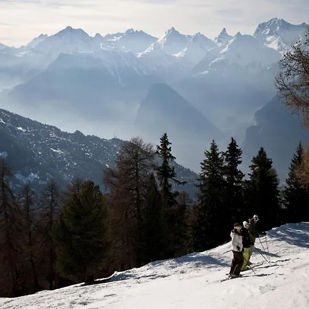 3-bedroom In Veysonnaz